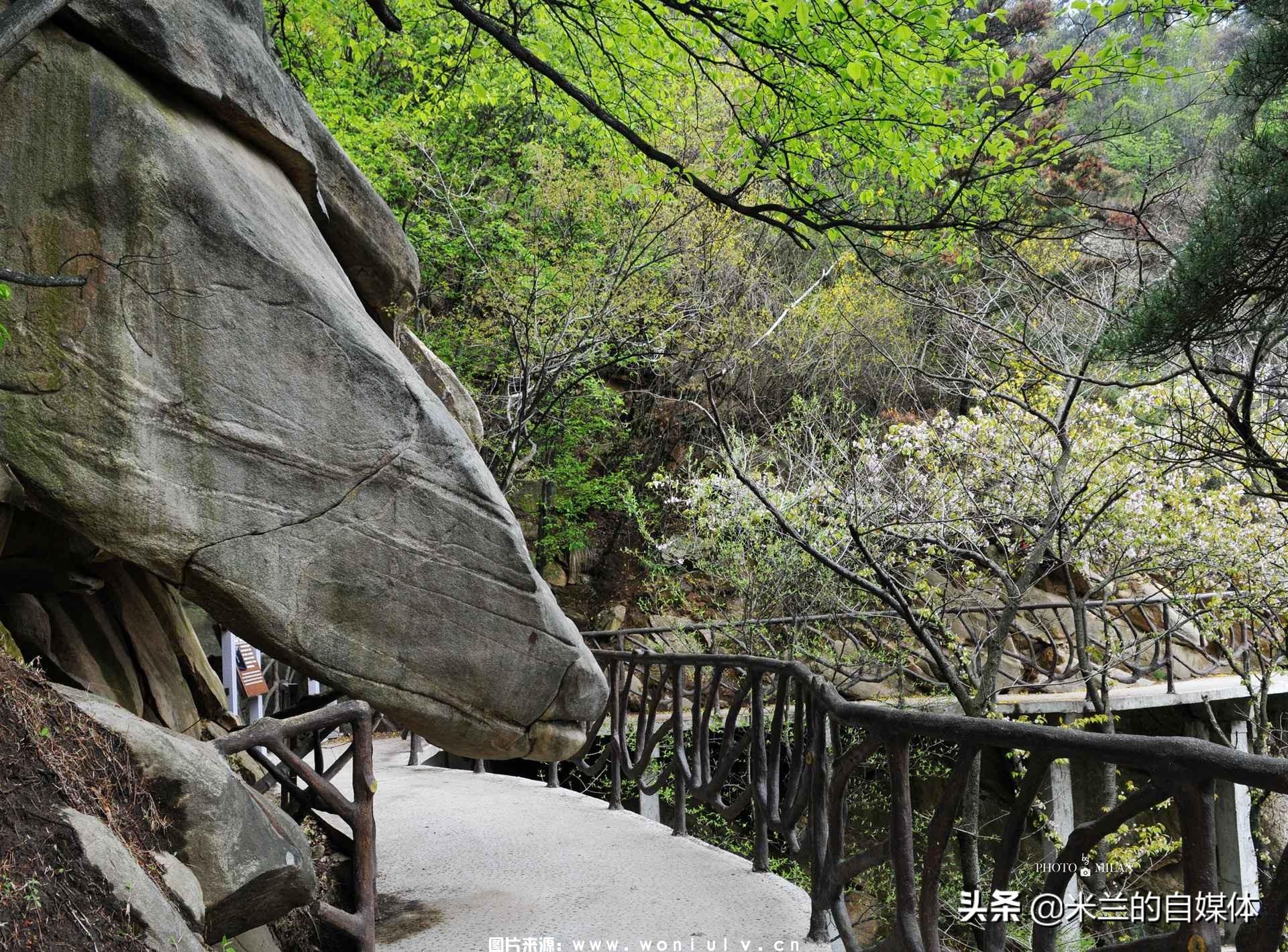 临沂沂蒙山龟蒙景区和云蒙景区详细介绍及哪个好玩(图9)