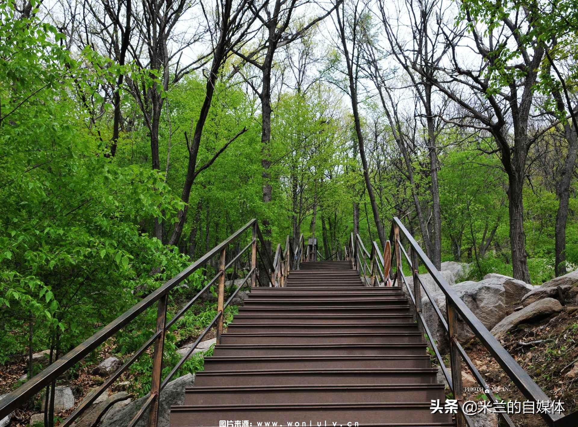 临沂沂蒙山龟蒙景区和云蒙景区详细介绍及哪个好玩(图38)