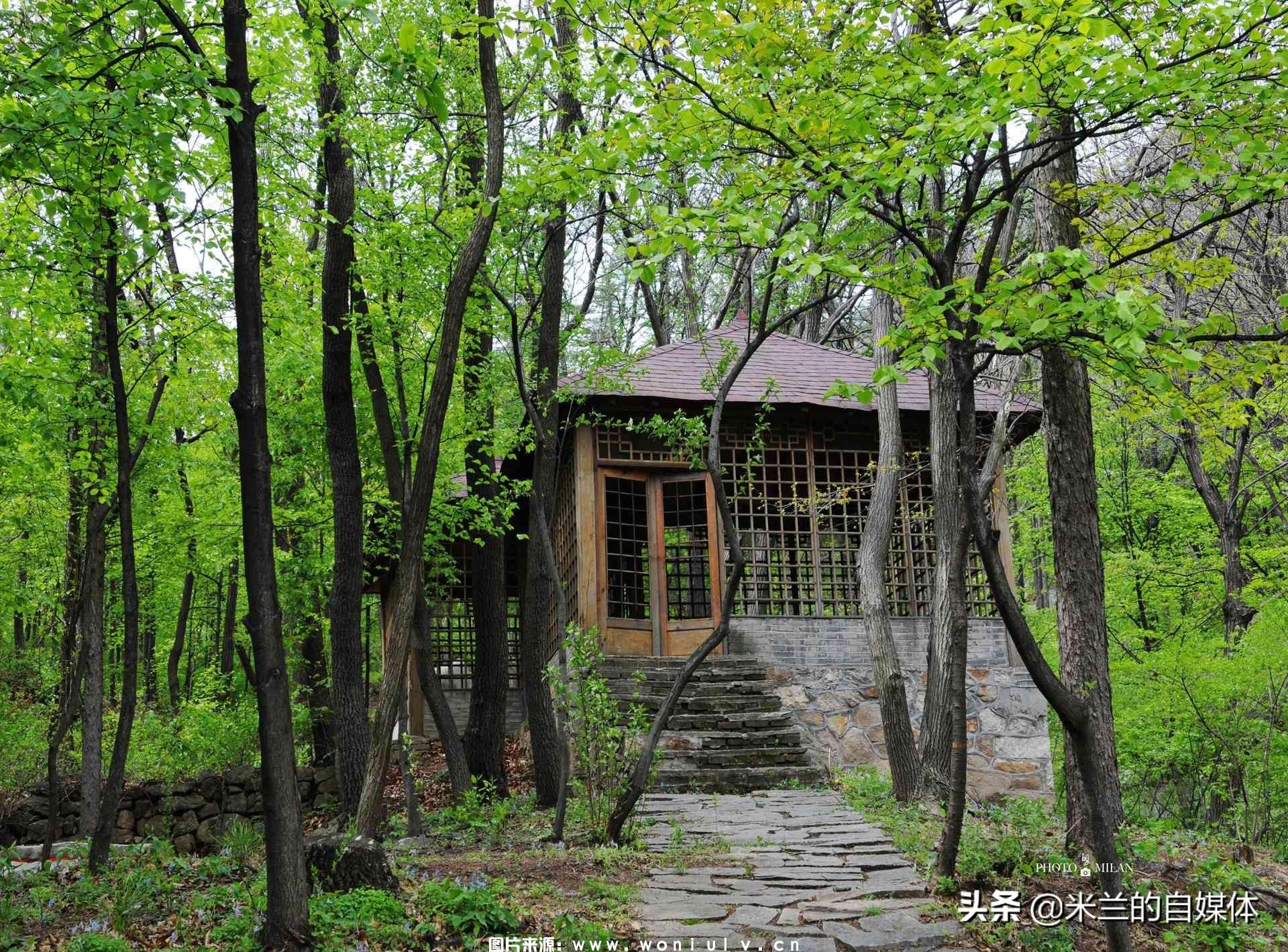 临沂沂蒙山龟蒙景区和云蒙景区详细介绍及哪个好玩(图39)