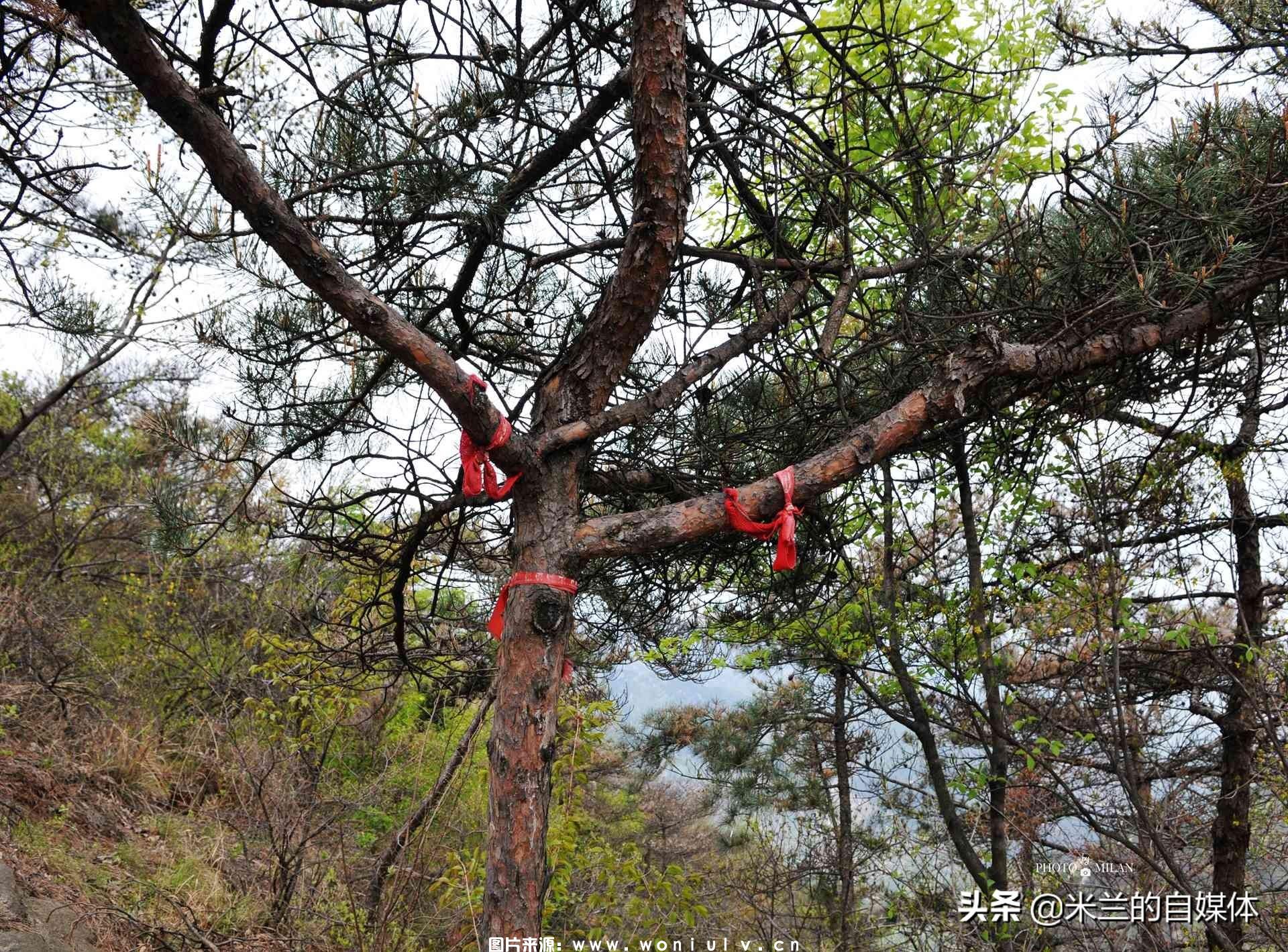 临沂沂蒙山龟蒙景区和云蒙景区详细介绍及哪个好玩(图41)