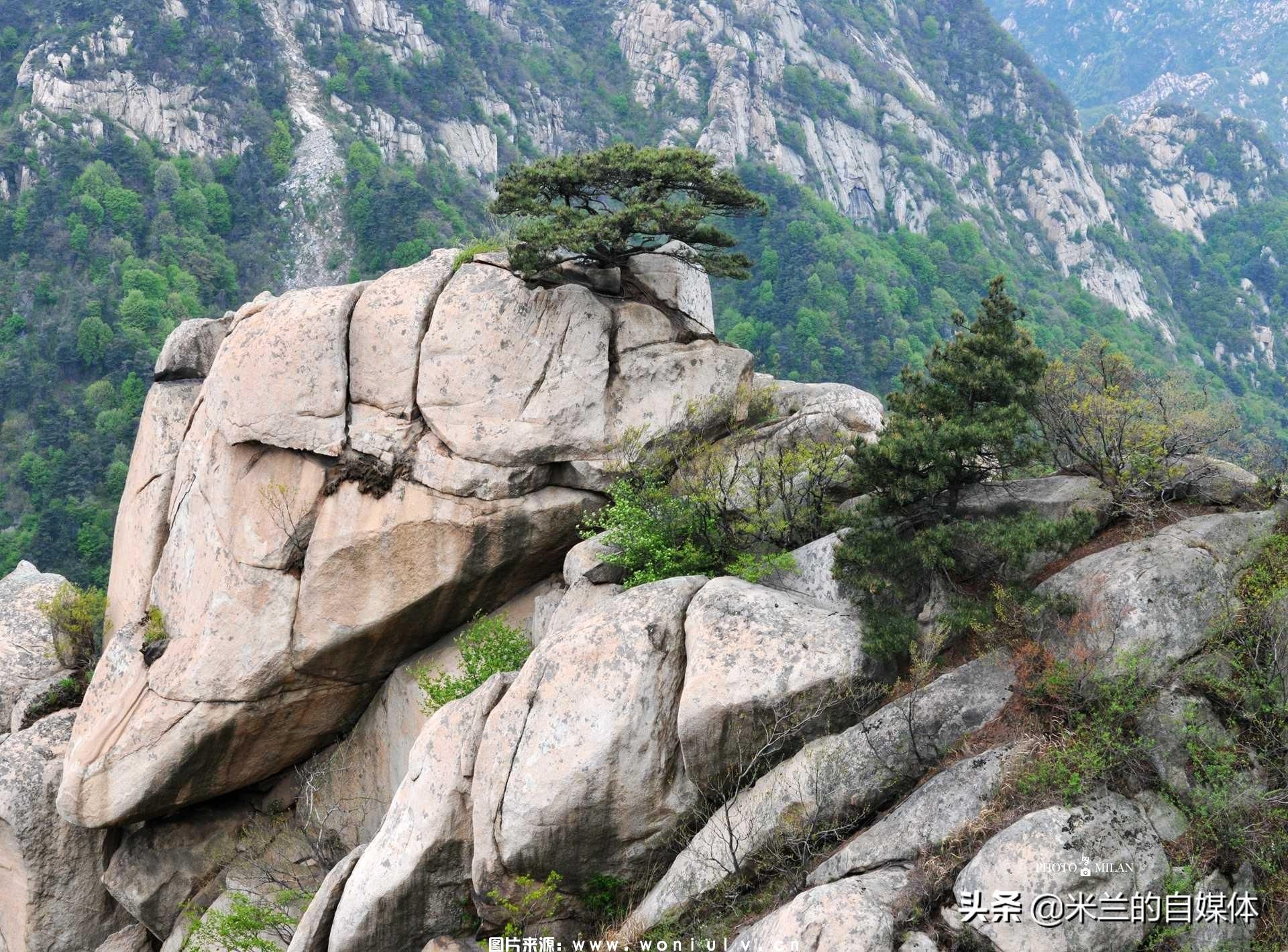 临沂沂蒙山龟蒙景区和云蒙景区详细介绍及哪个好玩(图44)