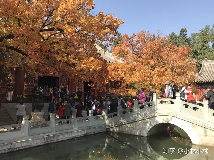 北京旅游攻略自由行最佳路线(图41)